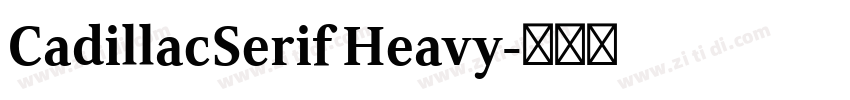 CadillacSerif Heavy字体转换 CadillacSerif Heavy字体转换